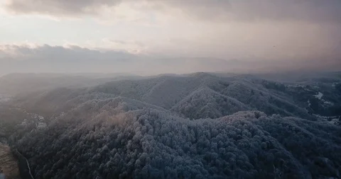 Flying drone over snowy trees in the mountains Stock Footage 122602969
