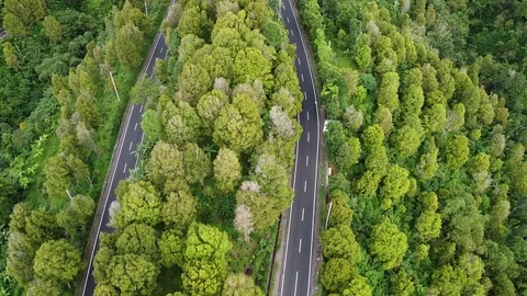 Flying with Drone over Streets and Trees on island Bali - Indonesia Video stock 124907608