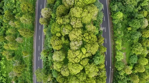 Flying with Drone over Streets and Trees on island Bali - Indonesia Video stock 124907819