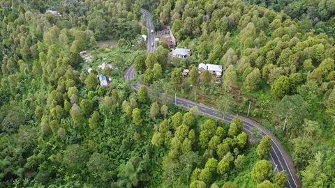 Flying with Drone over Streets and Trees on island Bali - Indonesia Stock Footage 124907976