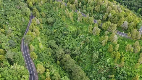 Flying with Drone over Streets and Trees on island Bali - Indonesia Video stock 124908097
