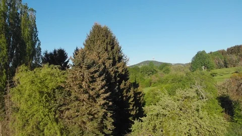 Flying drone over trees Stock Footage 101125322