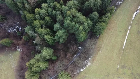 Flying with drone over trees footage Stock Footage 196237772