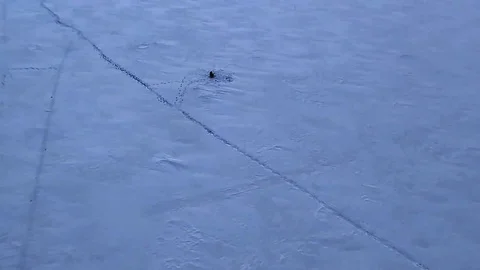 Flying on the drone over the winter like and fisherman. Stock Footage 103422804