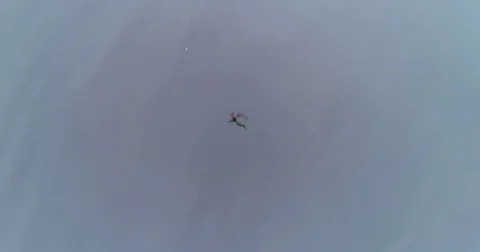 Flying drone reflection above the river at the cloudy day. 動画素材 84025966