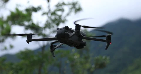 Flying drone in summer forest Video stock 197514041