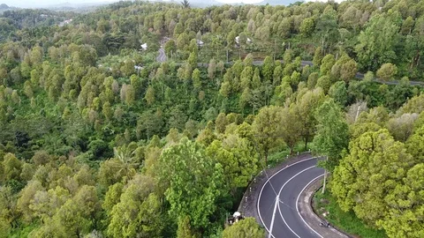 Flying with Drone at Sunset over Trees on island Bali - Indonesia Stock Footage 124908625