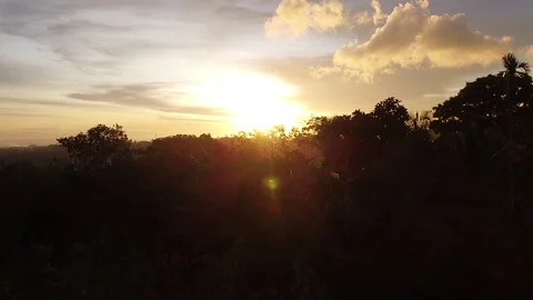 Flying with Drone at Sunset over Trees on island Bali - Indonesia 스톡 동영상 124908661