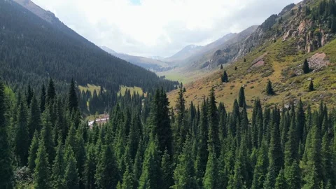 Flying a drone through a green forest to the beautiful mountains Video stock 250592089