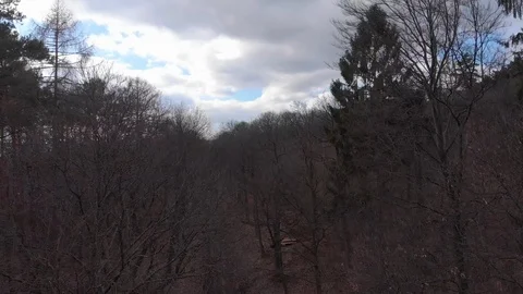 Flying drone to the top of trees Stock Footage 100853445