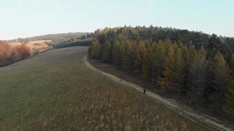 Flying drone towards autumn forest over tourist hiking in Beskid Niski, Polan Video stock 147517751