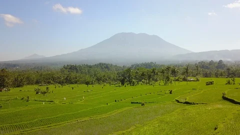 Flying with drone towards Mount Agung with rice fields in front Stock Footage 128387062