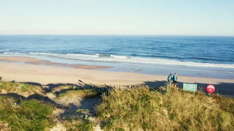 Flying UP drone view of couple came on sandy beach dunes with high grass washed Video stock 311959367