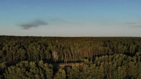 Flying a drone with a view of the sea and the beach against the blue sky. Stock Footage 133763761