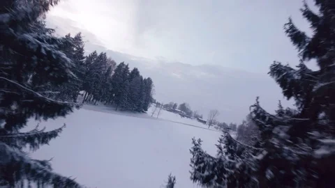 Flying a Drone in a Winter Landscape Between Two Pines Tree Stock Footage 86531838