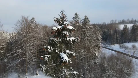 Flying drone in winter landscape Stock Footage 153806782