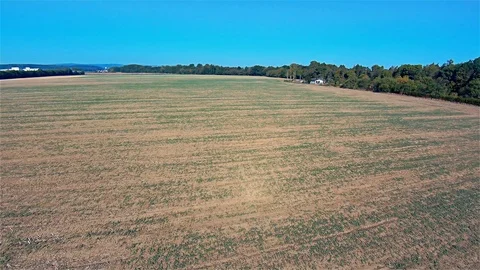 Flying Drones Over the Field – Park, Quadrocopter, Aircraft, Landscape, Europe 動画素材 93887573