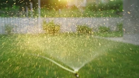 Flying drops when watering the grass in slow motion against the backdrop of the Stock Footage 258561480