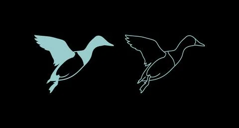 Flying duck illustration set in solid and outline styles with bird in flight Stock Illustration