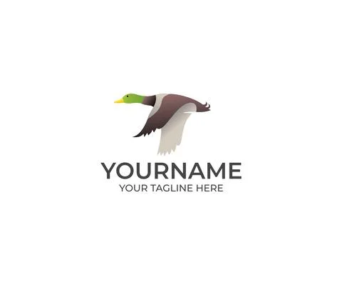 Flying Duck Logo Design Stock Illustration