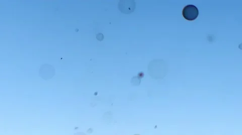 Flying Dust Stock Footage 47894384