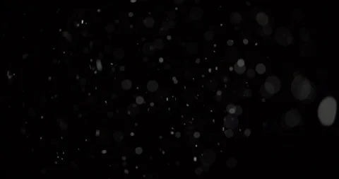 Flying dust particles on a black background Stock Footage 115603306