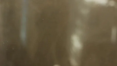 Flying Dust Particles Stock-Footage 69736373