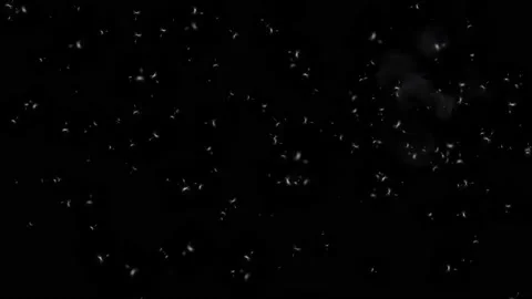 Flying dust particles motion graphics with night background Stock Footage 150651751