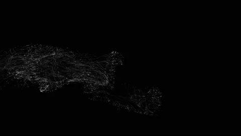 Flying dust particles with trails. White bokeh. Isolated on black background. 4k Stock Footage 112368282