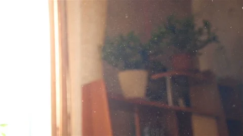 Flying dust in the room. Slow motion. Close-up Stock Footage 101483987