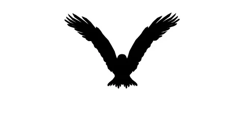 Flying eagle. Alpha channel. Alpha matte. Full HD. Stock Footage 95751538