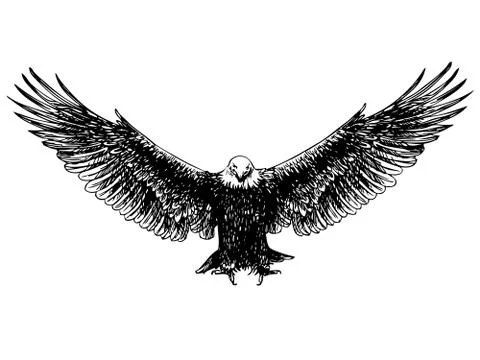 Flying eagle hand drawn Stock Illustration
