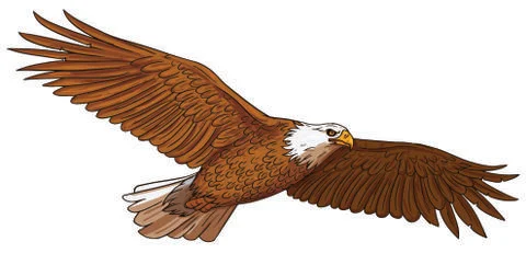Flying eagle icon straight wings sketch Stock Illustration