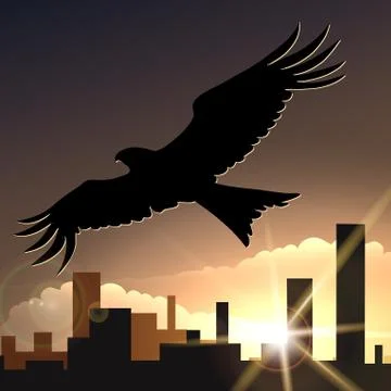 Flying eagle Stock Illustration