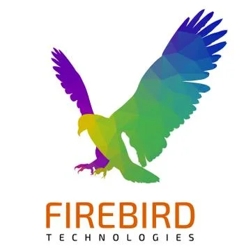 Flying Eagle Logo Template Illustrazione stock