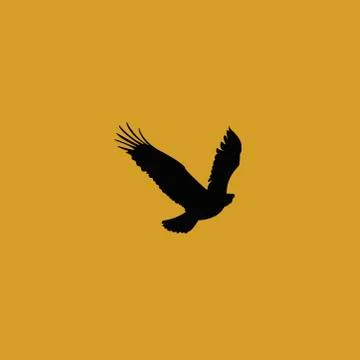 Flying Eagle orange background Stock Illustration