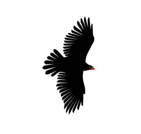 Flying eagle silhouette Stock Illustration