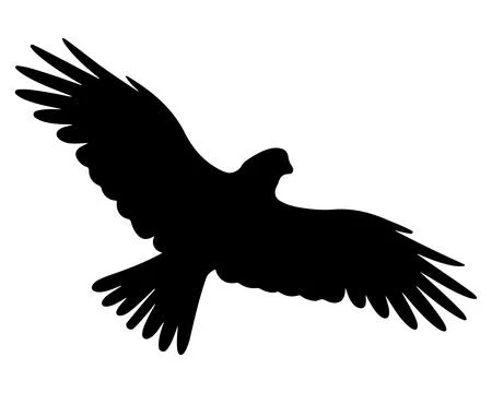 Flying eagle silhouette vector on transparent background Stock-Illustration