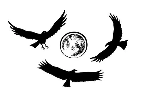 Flying eagle silhouettes, vector illustration Stock Illustration
