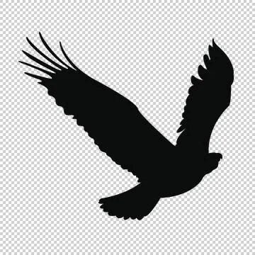 Flying Eagle Transperant Stock Illustration