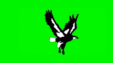 FLYING EAGLE,Eagle flies from left to the right and up to down. Stock-Footage 948456