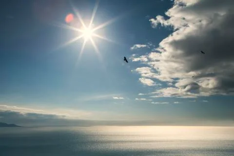 Flying with eagles Stock Photos