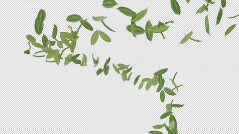 Flying element lemon balm leaves backgrounds isolateds 動画素材 245448016