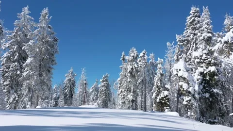 Flying in fabulous winter mountain forest. Ukraine, Carpathian Mountains Stock Footage 167048692