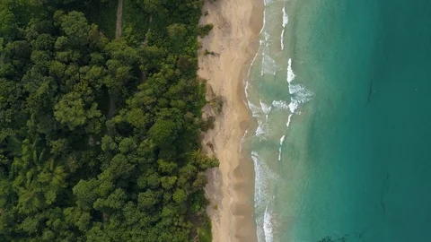 Flying Face Down Over A Tropical Beach in Bocas del Toro Video stock 100571360
