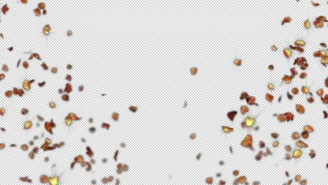 Flying Fall Leaves Seamless Alpha Channel Loop Stock-Footage 347053030