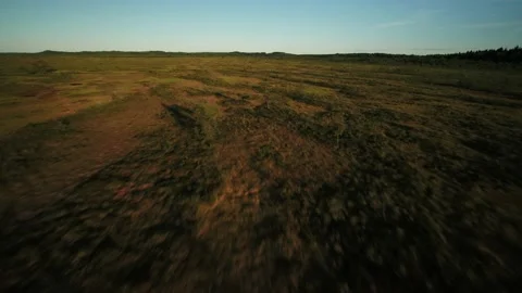 Flying fast above a swamp Stock Footage