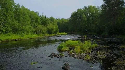 Flying up from the fast forest river in Karelia, Russia Stock Footage 100817102