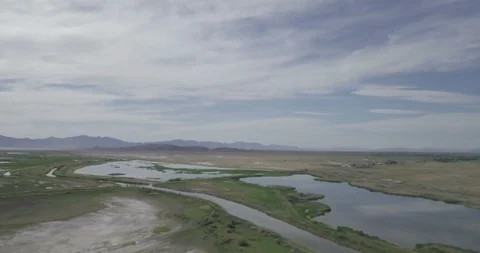 Flying fast over marshland 14 Video stock 90752753