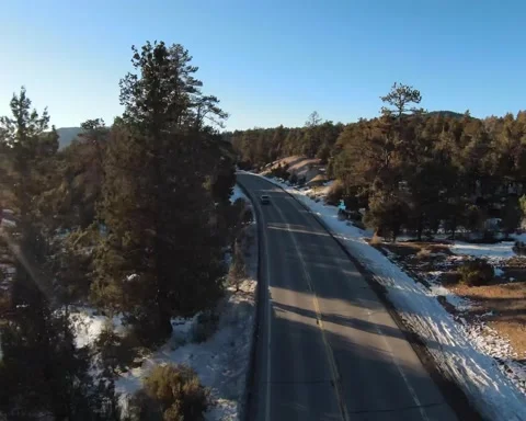 Flying Fast Through The Trees Stock Footage 221044476